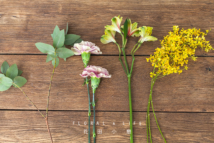 哥伦比亚康乃馨和尖叶尤加利,并排握于手中.