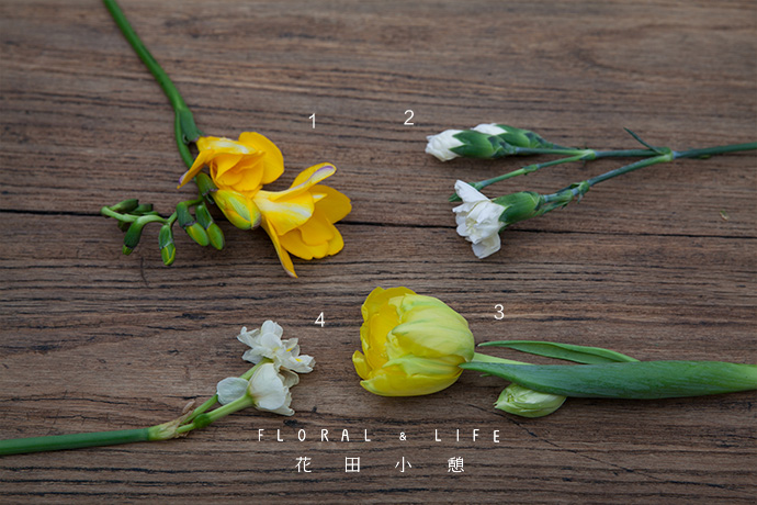 怦然心动 少年的太阳雨 爱鉴花智能清新生活