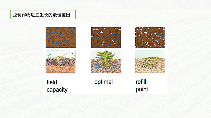 爱农云联AIOTAGRO茶园物联网解决方案