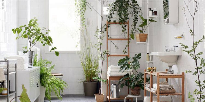 把植物请进浴室 打造完美卫浴空间 爱鉴花智能清新生活