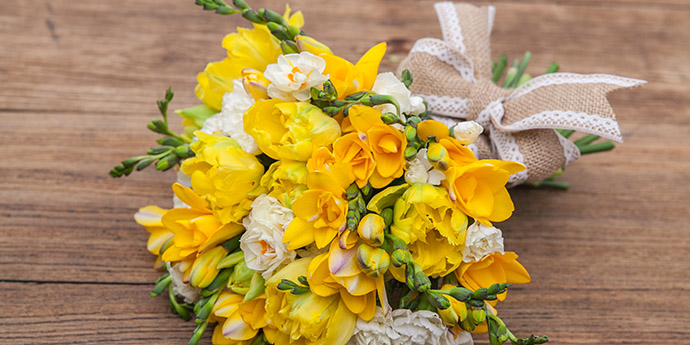 怦然心动 少年的太阳雨 爱鉴花智能清新生活