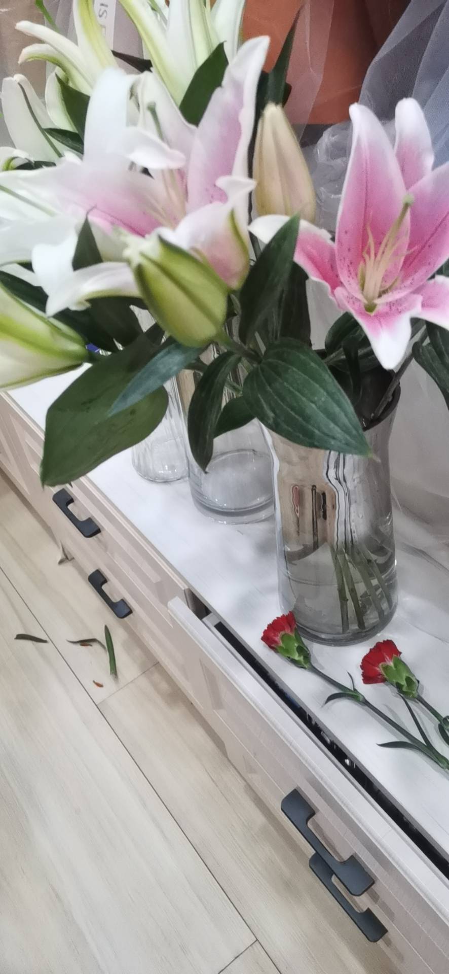 麝香百合(学名：Lilium longiflorum Thunb.)，鳞茎球形或近球形，高2.5-5厘米；鳞片白色。茎高45-90厘米，绿色，基部为淡红色。叶散生，披针形或矩圆状披针形，两面无毛。花单生或2-3朵；花喇叭形，白色，筒外略带绿色。蒴果矩圆形，长5-7厘米。花期6-7月，果期8-9月。产于中国台湾，分布于日本琉球群岛。是一种美丽的花卉，花极香，含有芳香油，可作香料。也是一种淡雅有致，清香袭人的切花。可布置花坛、花镜、园林小品或盆栽观赏，也可做插花用于装饰。麝香百合在欧美主要作切花及复活节的盆花用，几乎成为复活节不可缺少的花卉，故在欧美诸国广泛栽培，栽培水平也很高。其株形端直，花色纯白，形状优美，给人以洁白、纯雅之感，又寓有百年好合的吉祥之意。(概述图片参考资料来源：)